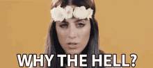 Why The Hell Mad GIF - Why The Hell Mad Why GIFs