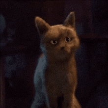 Ooh Cat GIF - Ooh Cat Puss In Boots GIFs