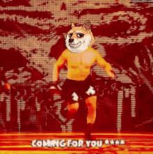 Doge Pound Doge GIF - Doge Pound Doge Comming For You GIFs