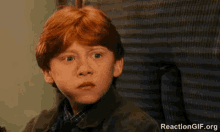 Ron Weasley GIF - Unsure Not Sure Ron Weasley GIFs
