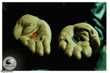 Red Pill Blue Pill GIF - Red Pill Blue Pill Erection GIFs