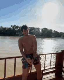 a shirtless man in swim trunks stands on a railing overlooking a body of water