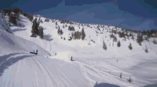 More Skiing Fails GIF - Skiing Camera Fail GIFs