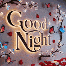 a good night sign with butterflies and flowers on it .