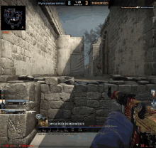 a screenshot of a video game shows a player named myca peek remirini