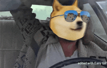 Doge Dogecoin GIF - Doge Dogecoin Drive GIFs