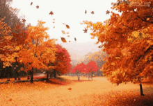 Fall GIF