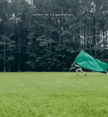 a person holding a green flag in a field with the words ohhhh he 's a gentleman below them