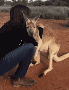 hug kangaroo