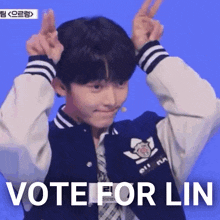 Vote For Lin Lin GIF - Vote For Lin Lin Lin Hanzhong GIFs