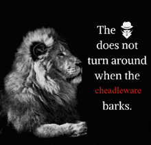 Cheadleware Secretserviceclub GIF