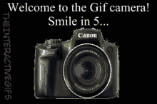 Gorilla Gif Camera GIF - Gorilla Gif Camera Photo Developing GIFs