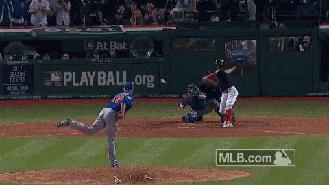 cubs win world series gif