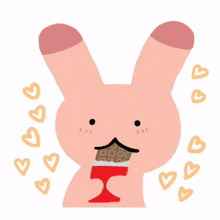 animal bunny rabbit cute chocolate