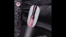 a person is applying nail polish to a nail .