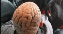 El Cuhh Wrinkled GIF - El Cuhh Wrinkled Brain GIFs