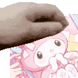 a person is putting a slipper on top of a pink cat .
