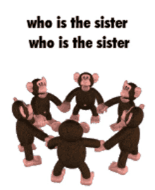 who is the sister ednaldo ednaldo pereira macaco monkey