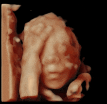 Come On Baby Not Again GIF - Come On Baby Not Again Baby GIFs