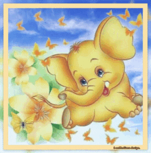 a congratulations card with an elephant and flowers