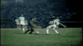 a group of people are playing soccer on a field .