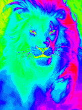 a colorful painting of a lion 's face with a yellow eye