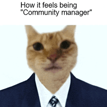 a cat wearing a suit and tie with the caption " how it feels being " community manager "