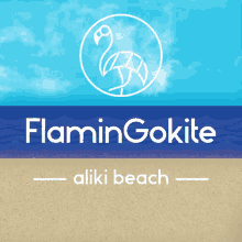 Flamingokite Aliki Beach GIF