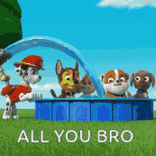 All You Bro Pups Summer GIF - All You Bro Pups Summer Nickelodeon GIFs