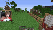 a man in a red and white shirt is playing a game of minecraft