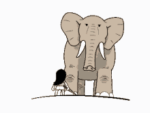 Elephant Startled GIF - Elephant Startled Umbrella GIFs