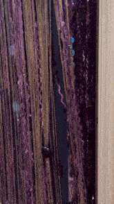 a purple and gold curtain is hanging on a white wall