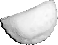 the logo for dolce dolci tradizionali di agira