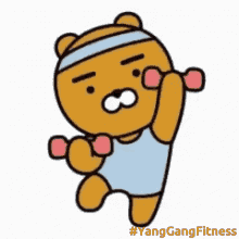 weights bear cute bear yang gang fitness