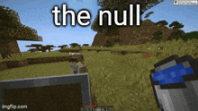 a screenshot of a video game with the words " the null " at the top