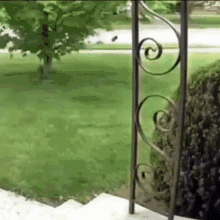 a wrought iron gate leading to a lush green yard with a tree in the background .