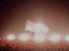 a person with wings is standing in a field of red flowers