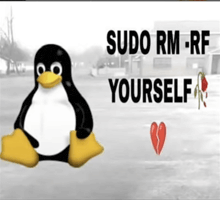 a picture of a penguin with the words sudo rm-rf yourself below it
