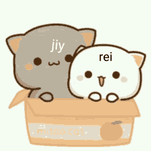 Rei And Jiy Reii And Me GIF