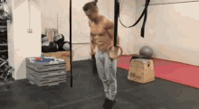 Cross Fit Exercise GIF
