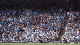 Man City Fans Etihad Stadium GIF - Man City Fans City Fans Etihad Stadium GIFs