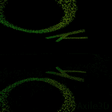 a green and black background with a lot of dots