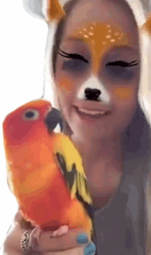parrot bird kiss adorable cute