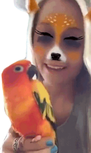 Parrot Bird Sticker - Parrot Bird Kiss Stickers