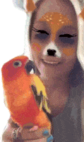 Parrot Bird Sticker - Parrot Bird Kiss Stickers