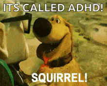Adhd Distracted GIF - Adhd Distracted Squirrel GIFs