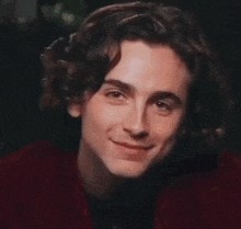 a close up of a young man 's face with curly hair smiling .