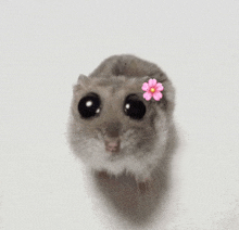 Flower Flower Mouse GIF - Flower Flower Mouse Cute Mouse GIFs