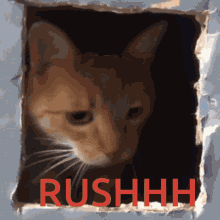 Chat Rush GIF - Chat Rush Warzone GIFs