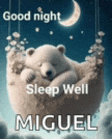 a polar bear is sleeping in a blanket with the words good night sleep well miguel .